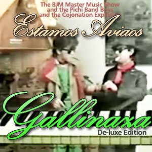 Gallinaza 的头像