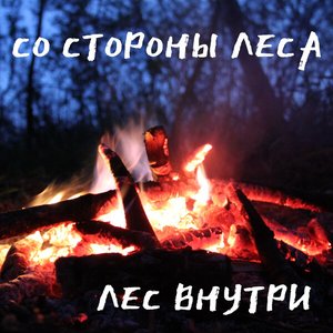 Лес внутри