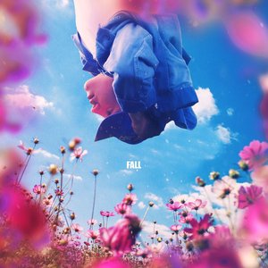 fall - Single