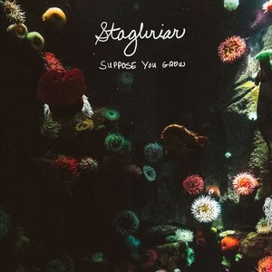 Suppose You Grow