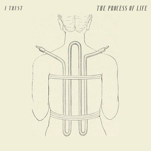 The Process of Life