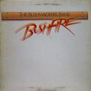 Bushfire