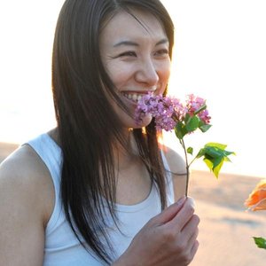 Tokiwa Kinoshita 的头像