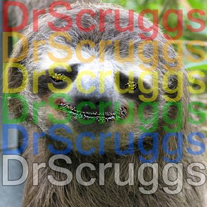 Dr. Scruggs 的头像
