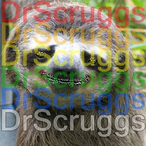 Dr. Scruggs için avatar