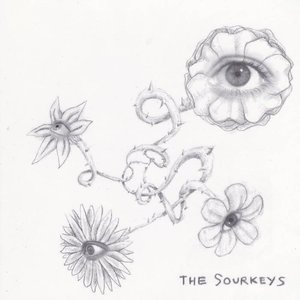 The Sourkeys