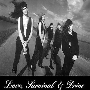 Love Survival & Drive - EP
