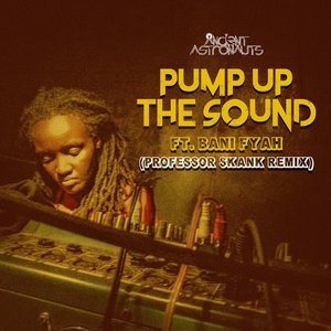 Pump up the Sound (Professor Skank Remix)