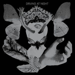 driving at night 的头像