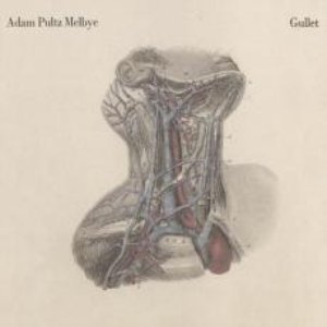 Gullet