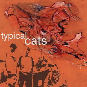 Image pour 'Typical Cats'