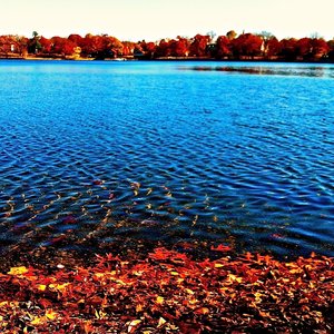 Pondside