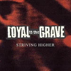 Striving Higher - Single