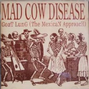 Avatar for Mad Cow Disease