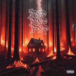 FOGOFOGOFOGO [Explicit]