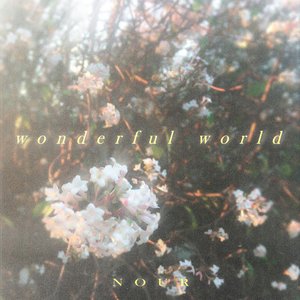 Wonderful World