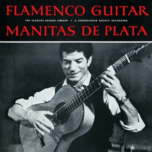 Flamenco Guitar