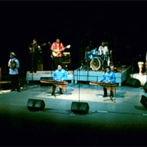 La Orquesta de la Papaya 的头像