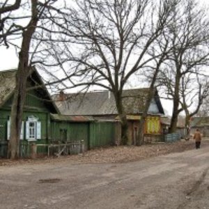 Деревня Бартоломеевка Ветковского райога Гомельской области 的头像