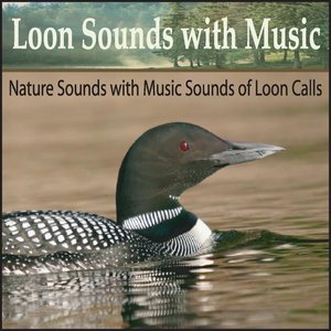 Loon Sounds With Music: Nature Sounds With Music Sounds of Loon Calls