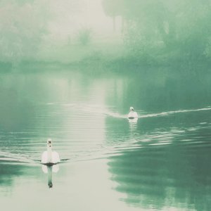 醒不来的梦