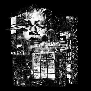 The Window Room