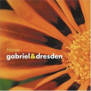 Bloom (disc 1)