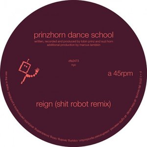 Reign (Shit Robot Remix)