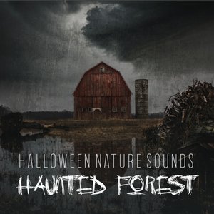 Halloween Nature Sounds: Haunted Forest - Fireplace with Thunder, Rain and Howling Wind, Halloween 2019 & Creepy Music