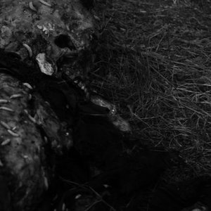 Last Day of Rotting