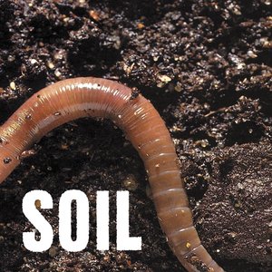 Soil Ep