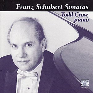 Franz Schubert: Four Piano Sonatas; Allegretto in C minor