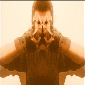 the aeonic order of vacuity 的头像