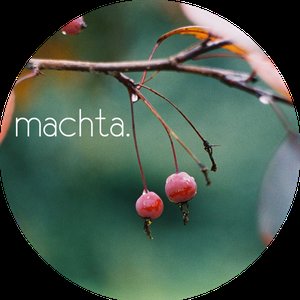 machta. 的头像