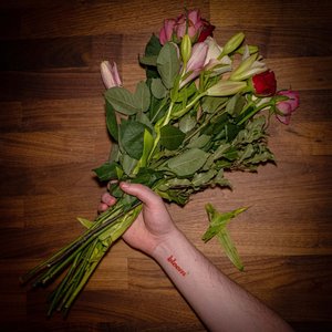 Bloom