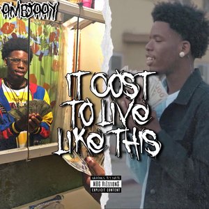 It Cost to Live Like This
