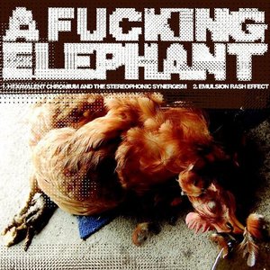 'A Fucking Elephant / Arbogast split 7"'の画像