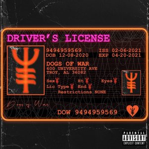 Driver's License