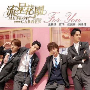 For You (電視劇「流星花園」片頭曲)