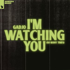 I'm Watching You (So Many Times) - Single