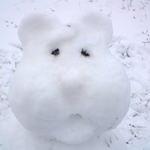 Avatar for Хомя