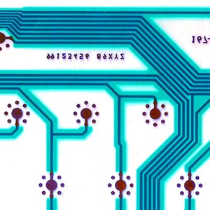 radiant bergamot feathers