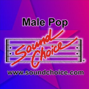 Karaoke - Classic Male Pop - Vol. 27