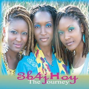 The Journey, Vol. 1