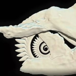 WHORLTOOTH 的头像