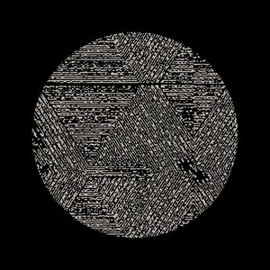 Ascion & Shapednoise 的头像
