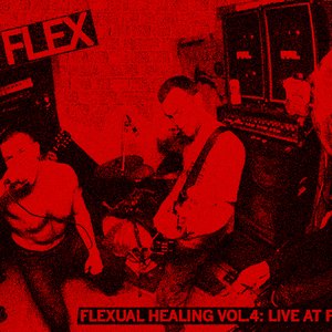 Image for 'FLEXUAL HEALING VOL.4: LIVE AT FLEX HOUSE'