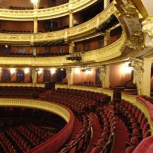 Orchestre Du Theatre National de l'Opera-Comique 的头像