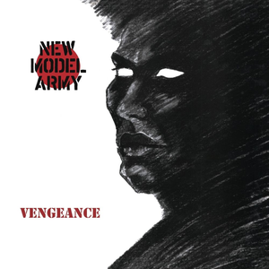 Vengeance cover