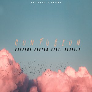 Confusion (feat. Ronelle) - Single